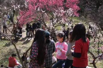 <p>Lucky kids from the neighborhood come here everyday</p>