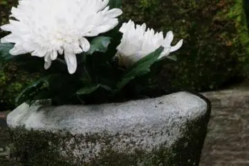 무덤 앞의 꽃들