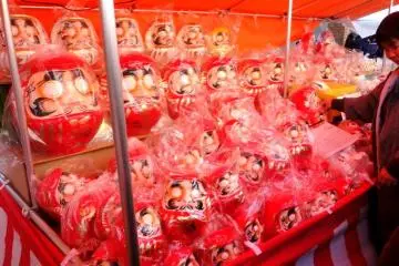 <p>ดารุมะวางขาย</p>
