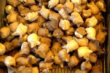 <p>ขนมปังปิกาจู</p>