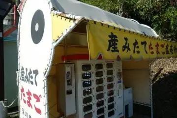 unusual (cute) egg vending machine on roadside