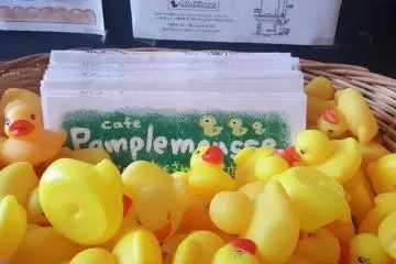 Pamplemousse, le Café Très Canard