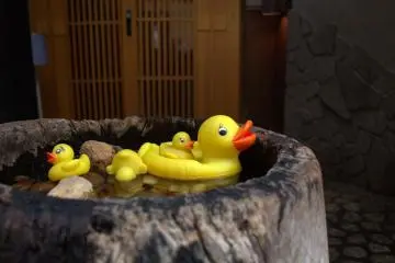 You never know what you'll find in the backstreets of Tokyo
