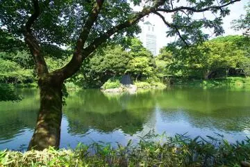 由导游带领的日本东京游