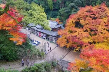 The autumn color at Engyo-ji Temple on Mount Shosha