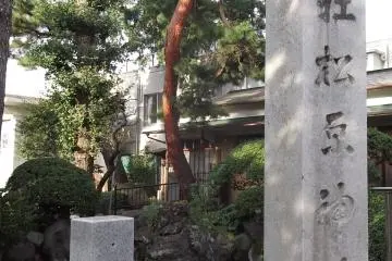 Gallery image