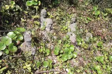 Landslides and overgrowth are a danger