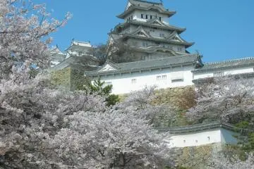 Photo: Hyogo Prefecture