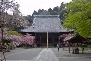 Myohon-ji always maintains its tranquil beauty