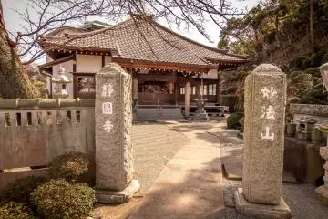 Gallery image