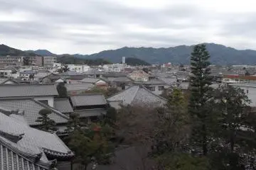The view from the hill