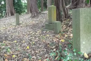 Grave markers in the woods on the hill
