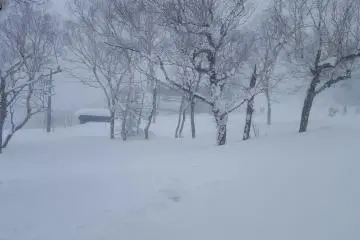 No shortage of powder on the upper-mountain.