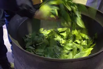 To make houjicha, the tea leaves must first be lightly roasted