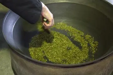 The rolled and crushed leaves are then roasted again. Then they're cooled off, ready to enjoy!
