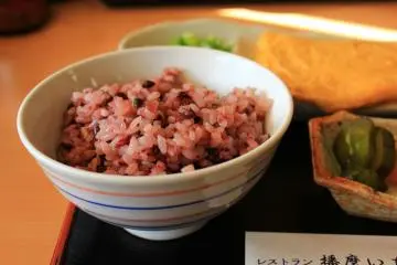 ¥500 lunch