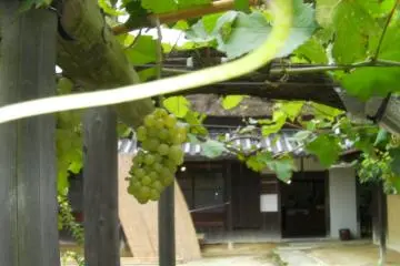 Yumeji Takehisa's Birthplace