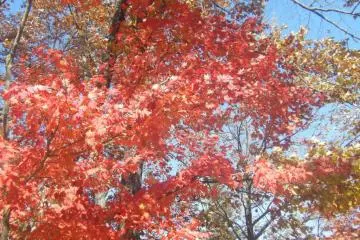 Kita Karuizawa