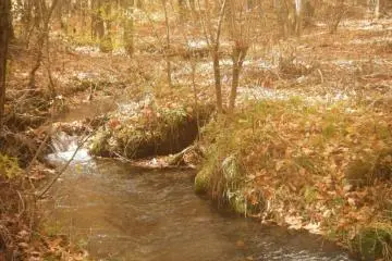 Peaceful surroundings