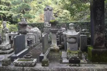 Part of the graveyard