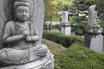 Part of the circle