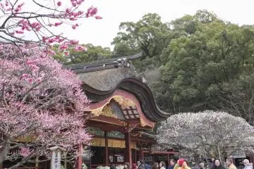 Dazaifu Tenmangu Shrine