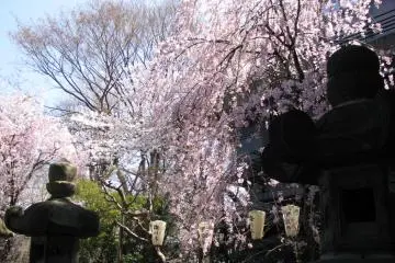 Taman Ueno, Tokyo
