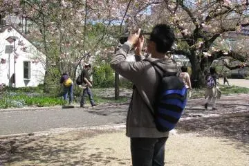 Like me, many people took photos of sakura!