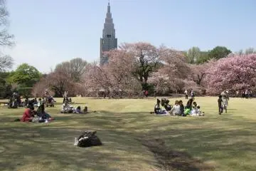 Nice place for picnics and games