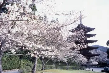 Rurikoji