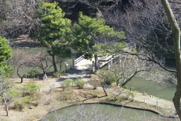 The view from the pagoda