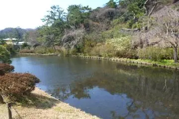 Sankeien pond
