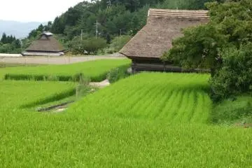 view from the villa