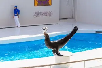 You won't see this kind of yoga in any human class!