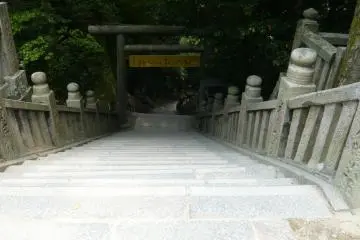 <p>ขากลับ</p>