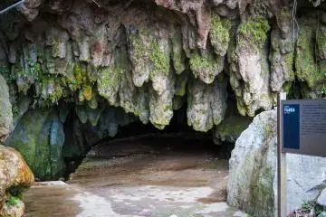 The monstrous mouth of Senbutsu
