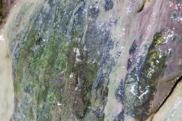 Watch for glistening mineral deposits