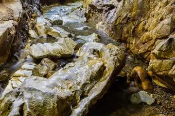 The adventurous terrain of Senbutsu