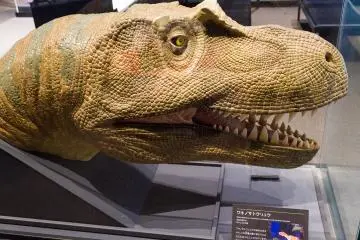 Wakinosaurus was native to northern Kyushu