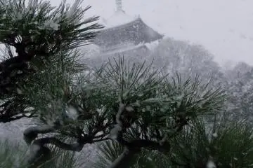 Pagoda and pine