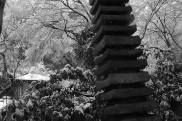 <p>Stone pagoda in the trees</p>