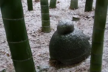 The top of a statue on the ground amongst bamboo trees