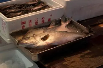 Tsukiji Fish Market in Tokyo [結束]