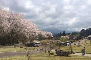 Le parc est spacieux