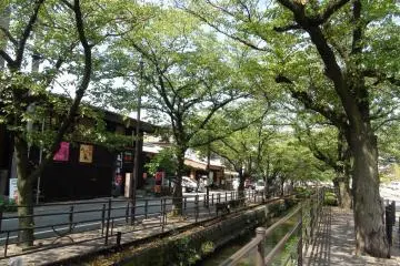 Canal at Isawa Onsen. It looks so beautiful when the trees are in bloom, but sadly I lost my own photos.