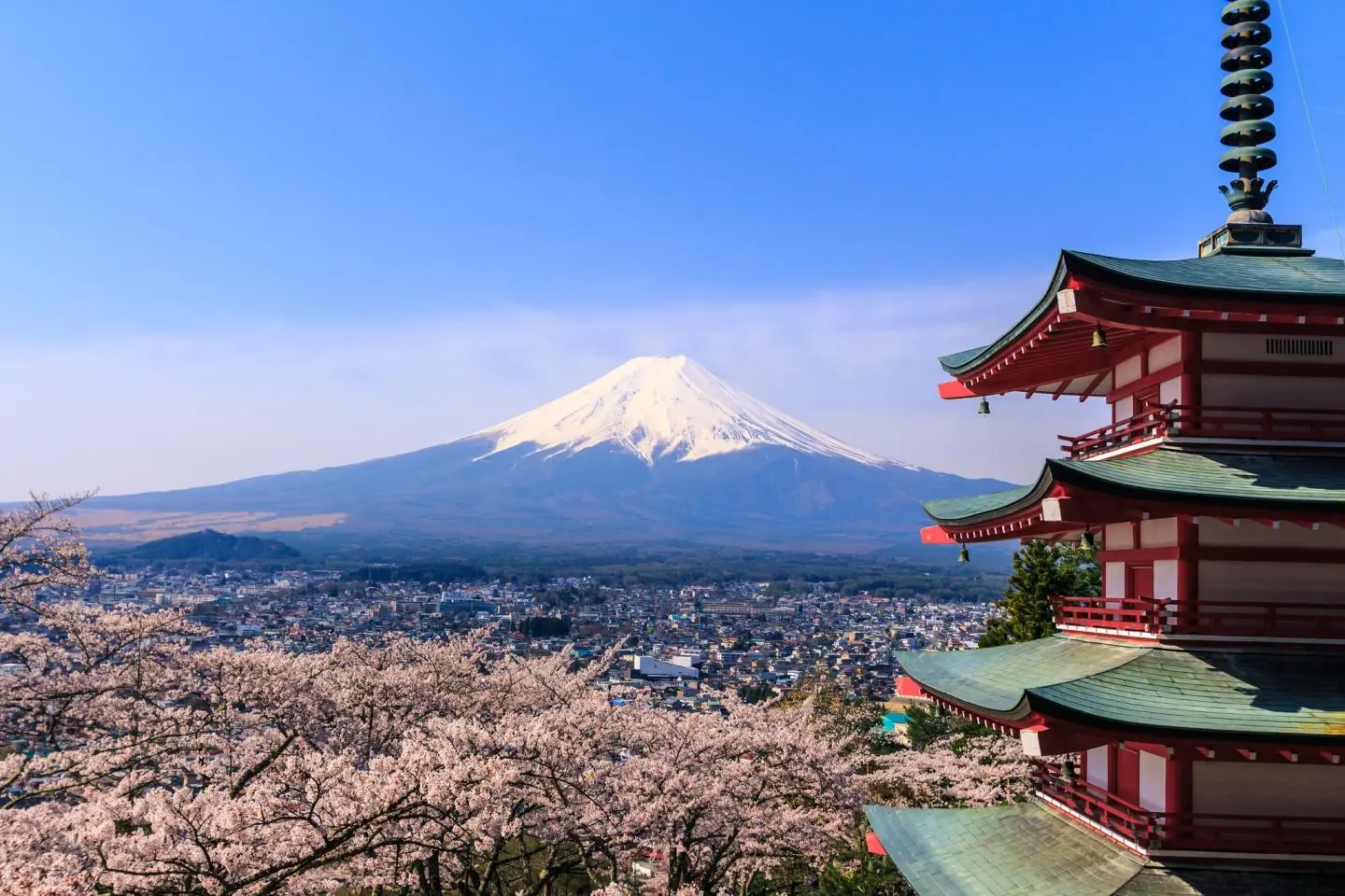 Red pagoda, Mount Fuji and cherry blossoms (Photo: By Reginald Pentinio)