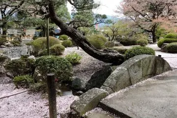 Cherry blossom at Erinji Temple