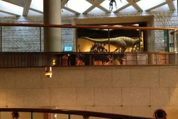 The view that draws you into the Prehistoric area. Check out the natural light from the ceiling