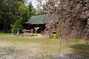 Matsuo Shrine