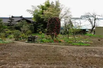 Big old country houses with large gardens
